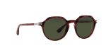 0Po3255s Persol Sunglasses Discount