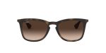 Rb4221 Ray Ban Sunglasses Cheap