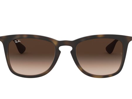 Rb4221 Ray Ban Sunglasses Cheap