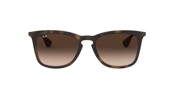 Rb4221 Ray Ban Sunglasses Cheap